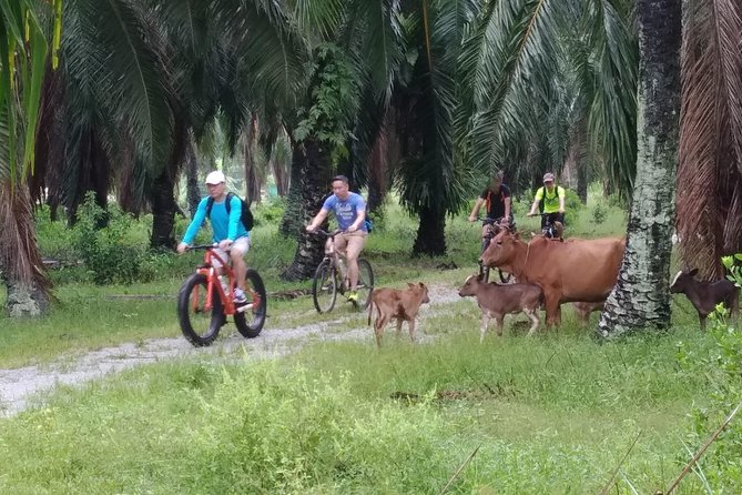 Half-Day Penang Countryside Cycling Tour - Balik Pulau by bicycle