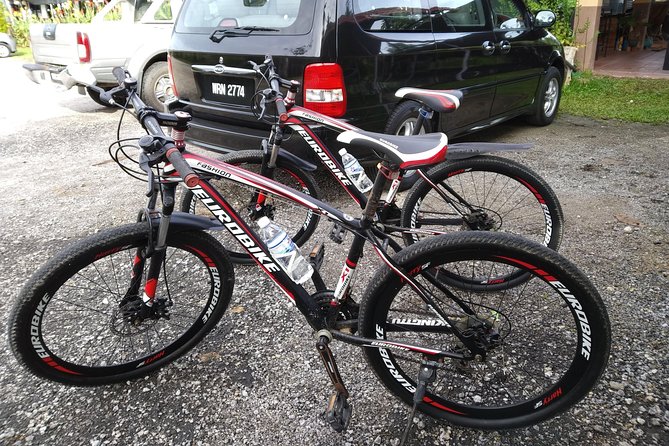 Half-Day Penang Countryside Cycling Tour - The goat farm stop