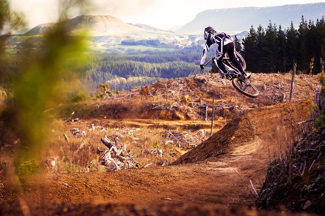 Half-Day Self-Guided Mountain Bike Journey through Whakarewarewa Redwood Forest - Key points to know before you ride