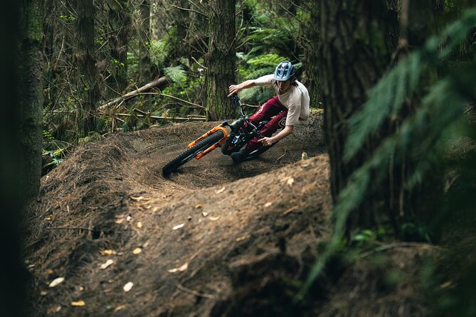 Half-Day Self-Guided Mountain Bike Journey through Whakarewarewa Redwood Forest - Why Whakarewarewa works so well for a half-day ride