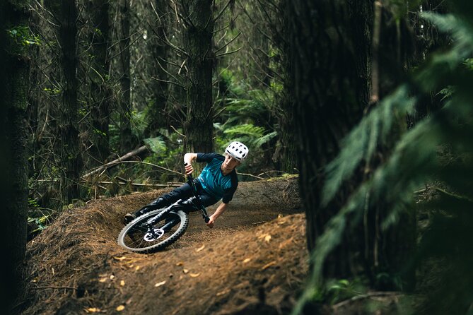 Half-Day Self-Guided Mountain Bike Journey through Whakarewarewa Redwood Forest - What four hours really gives you