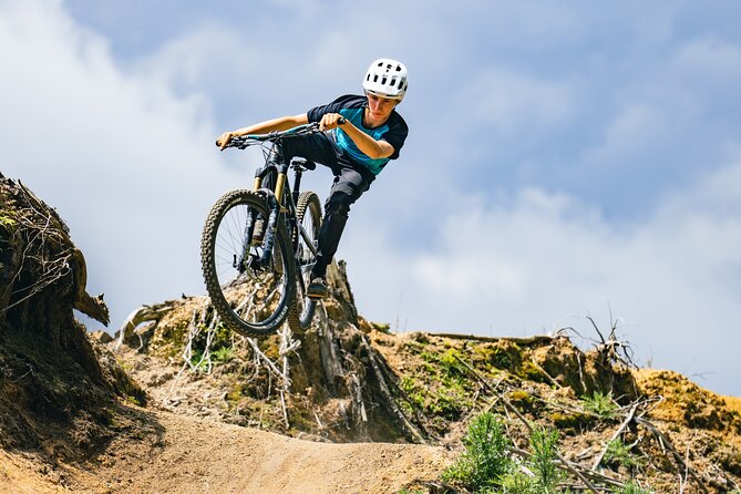 Half-Day Self-Guided Mountain Bike Journey through Whakarewarewa Redwood Forest - Is the $34 price good value?