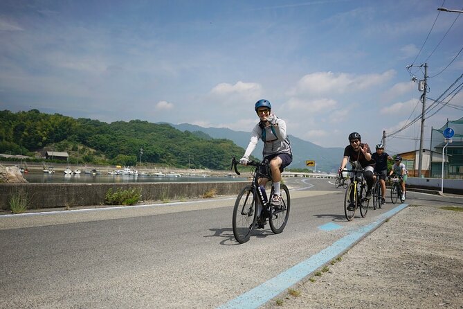Half-Day Shimanami Kaido Private E-Bike Cycling Tour - 3 Routes - Route B: A closer look at Mukaishima