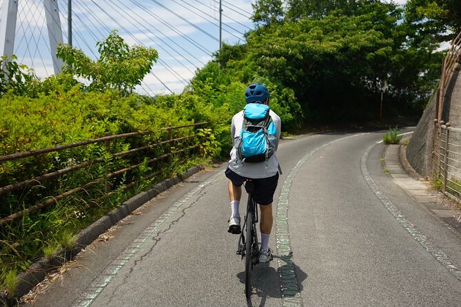 Half-Day Shimanami Kaido Private E-Bike Cycling Tour - 3 Routes - Is $276.40 per person fair value?