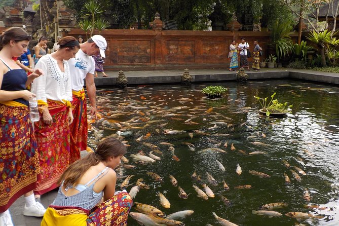 Half-Day Ubud Electric Cycling Tour to Tirta Empul Water Temple - Why the electric bicycle makes sense around Ubud