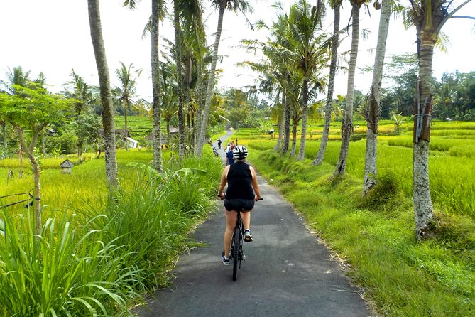 Half-Day Ubud Electric Cycling Tour to Tirta Empul Water Temple - Rice paddies, village life, and the best part of the ride