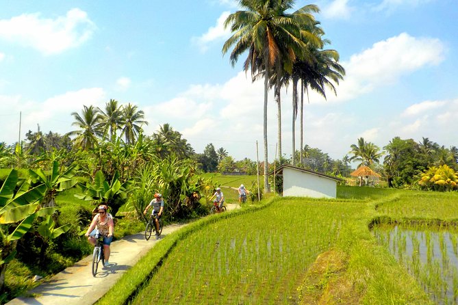 Half-Day Ubud Electric Cycling Tour to Tirta Empul Water Temple - Handling the hills and tropical heat