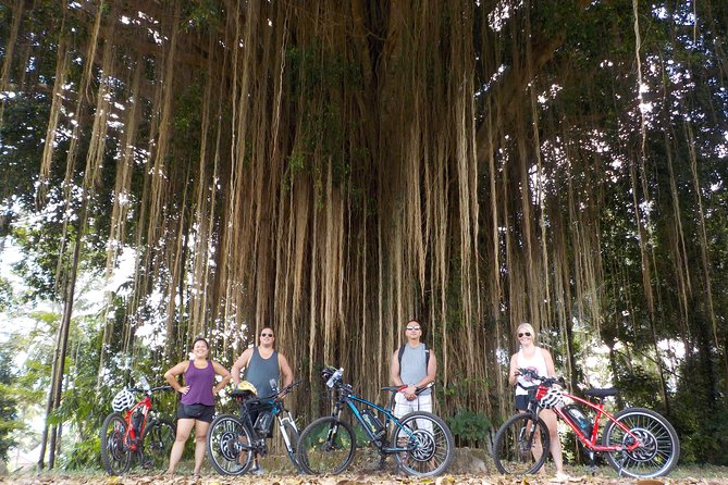 Half-Day Ubud Electric Cycling Tour to Tirta Empul Water Temple - A Balinese lunch at Pangkon Bali Resto
