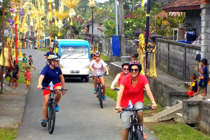 Half-Day Ubud Electric Cycling Tour to Tirta Empul Water Temple - Who should book this Ubud cycling tour?