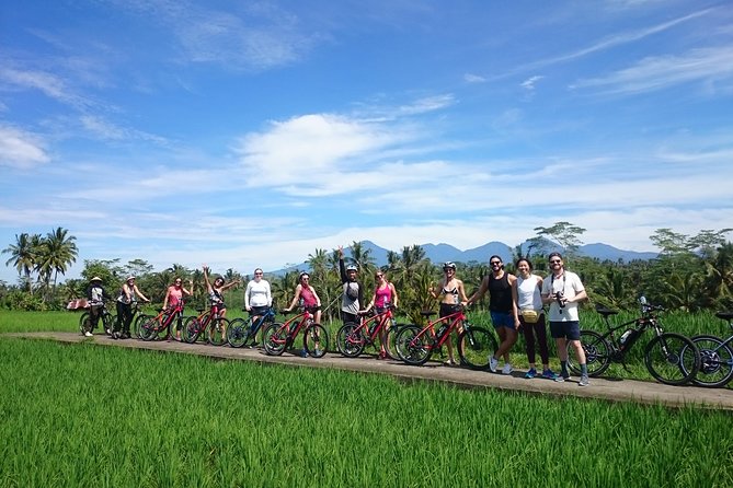 Cyclists on a path between rice terraces above Ubud, Bali