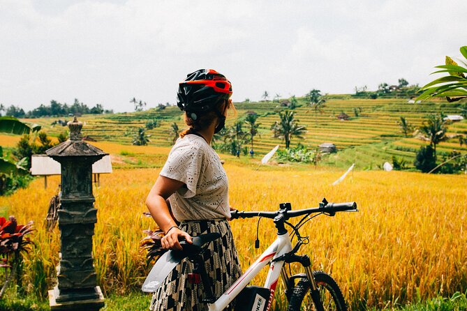 Half-Day Ubud Rice Field and Village Cycling Tour - Why this ride shows you more than a bus window