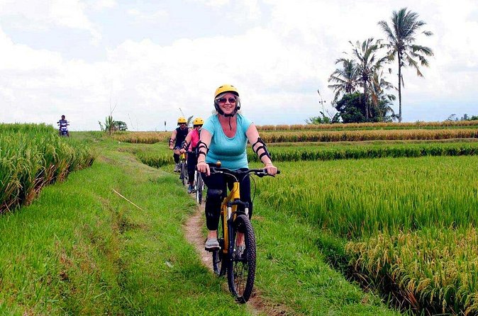 Half-Day Ubud Rice Field and Village Cycling Tour - A Balinese house compound and local life