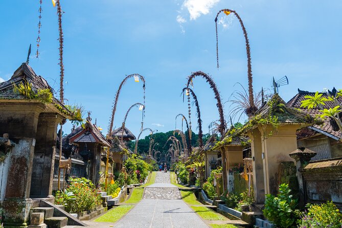 Half-Day Ubud Rice Field and Village Cycling Tour - Bikes, helmets, and the safety setup