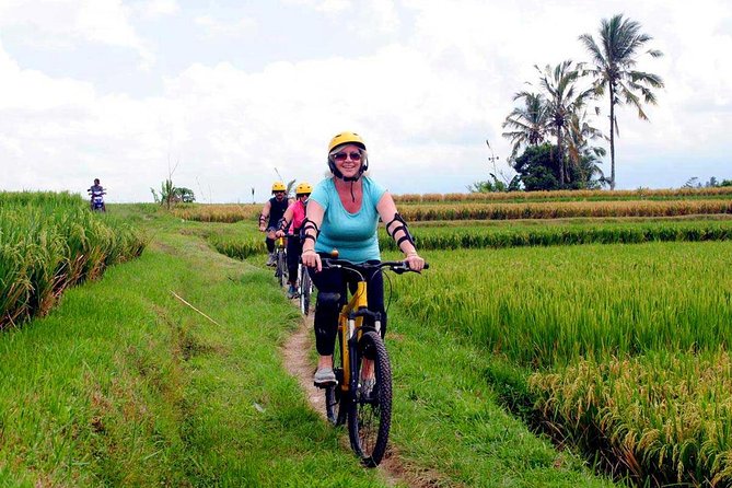 Half-Day Ubud Rice Field and Village Cycling Tour - Who will enjoy this tour most?