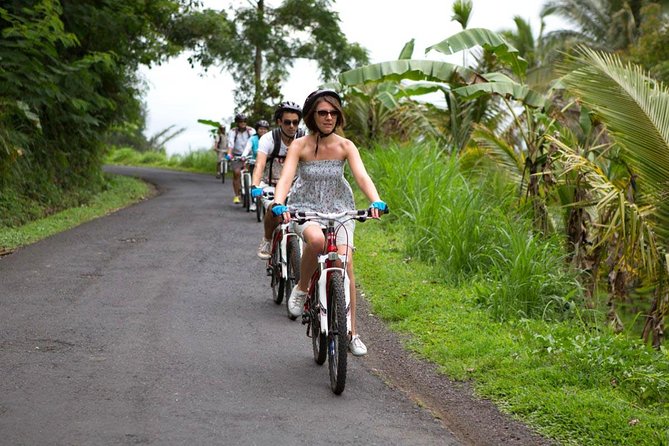 Half-Day Ubud Rice Field and Village Cycling Tour - Rice terraces, plantations, and quiet village roads