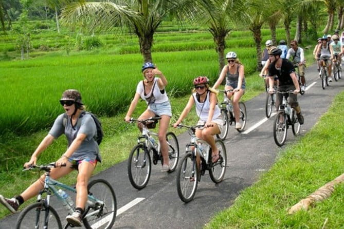 Halo Bike Cycling Tour Downhill - Rice fields, village lanes, and everyday Bali