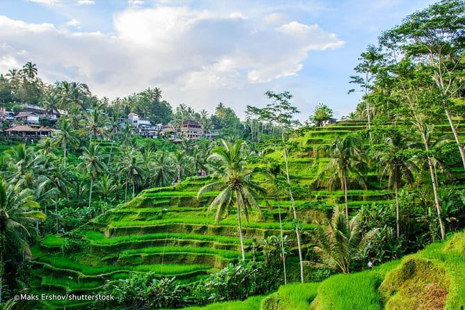 HALO BIKE Downhill Bali Countryside Cycling Tour - Lunch at Yoga’s home is the real finale