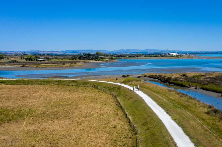 Hawke's Bay: Self Guided Coast to Vineyards Cycle Tour - Regular bike or e-bike?
