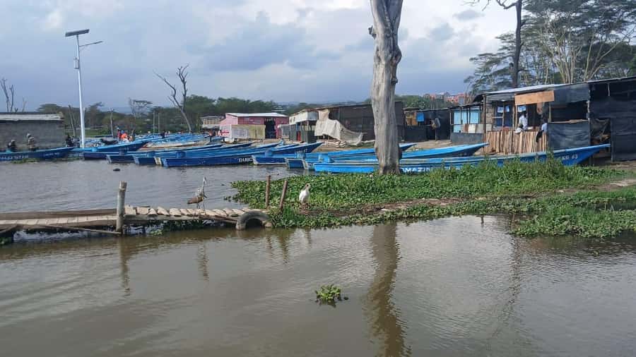 Hell's Gate Bike Ride & Crescent Island Boat Ride Experience - Key points to know