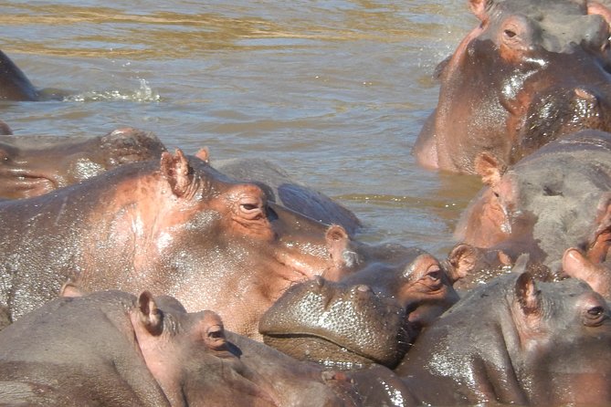 Hells Gate Cycling park & Lake Naivasha Boat tour - The road to the Great Rift Valley viewpoint