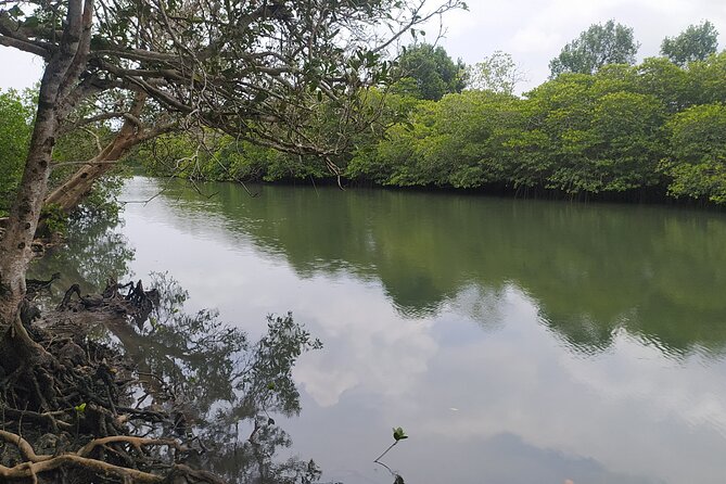 Hinterland Cycling Tour, Havelock - Weather, cancellation, and practical planning