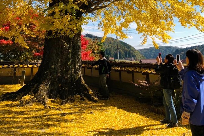 Hiroshima Country Cycling: Explore Rural Life 1 HR from City - What the e-bike changes
