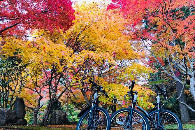 Hiroshima Country Cycling: Explore Rural Life 1 HR from City - The easy morning from Hiroshima to Oasa