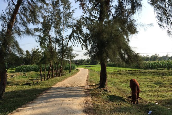 Hoi An Countryside bike tour to Kim Bong village - Rice paper, noodles, and local kitchen skills