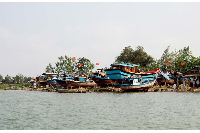 Hoi An: Countryside bike tour to Kim Bong village - Rice fields, gardens, and water buffaloes