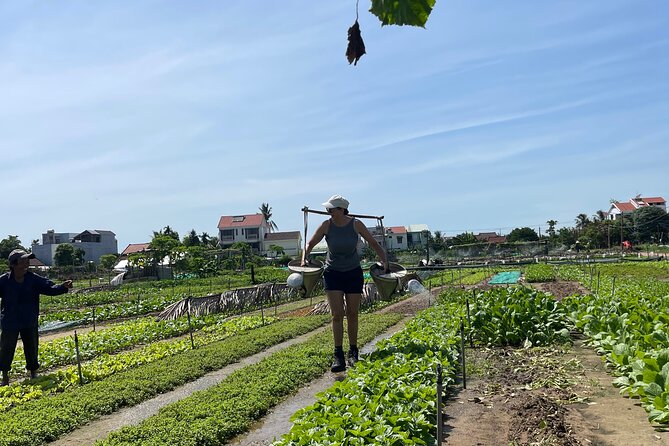 Hoi An countryside cycling Tour,Basket Boat-organic farming-lunch - Meeting the water buffalo