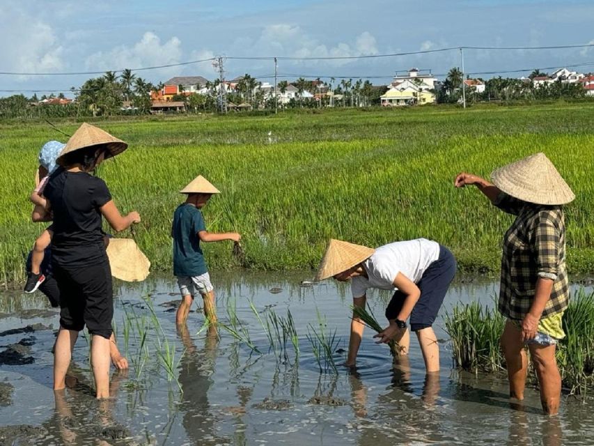 Hoi An:Cycling,Traditional Farming & Fishing Life Experience - Cycling the narrow roads to the farming fields
