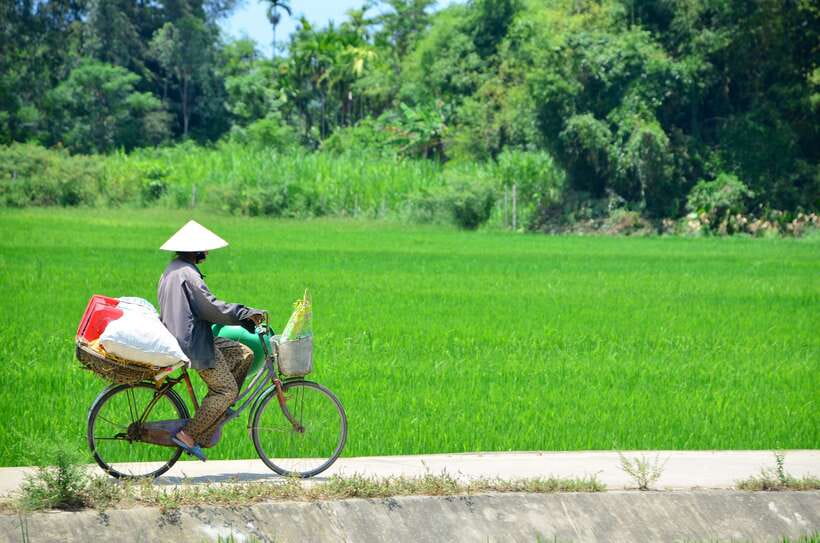 Hoi An: Private Cycling to My Son Sanctuary with Local Guide - Across the river and into village country