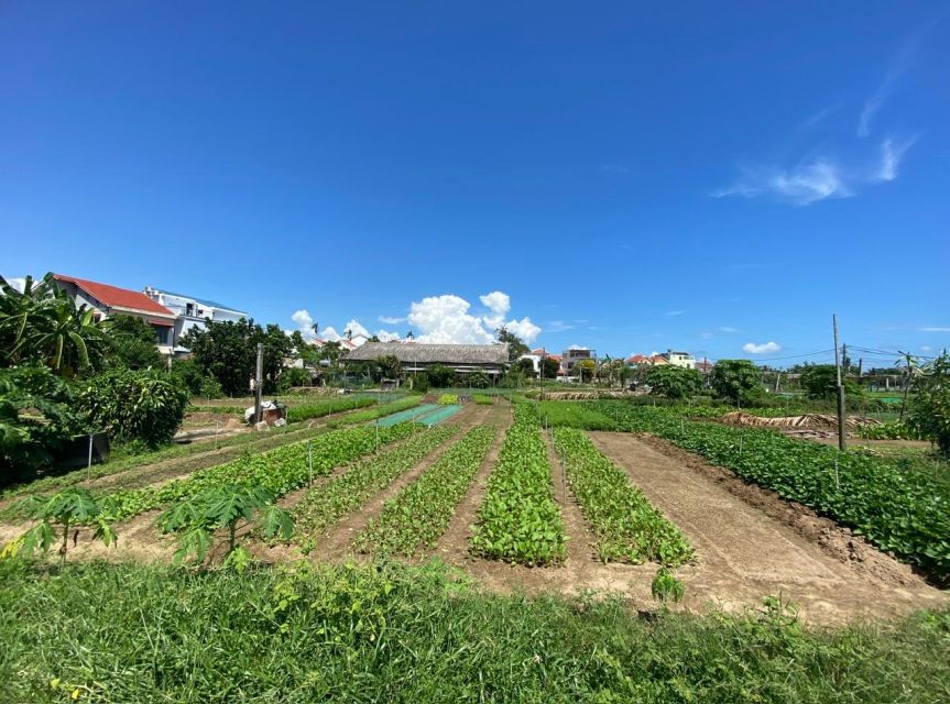 Hoi An: Rural Cycling Tour to Village with Basket Boat Ride - Key points to know before you book