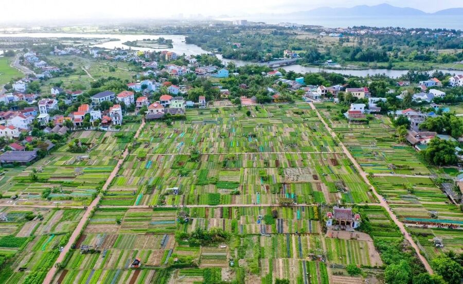 Hoi An: Rural Cycling Tour to Village with Basket Boat Ride - How difficult is the cycling?