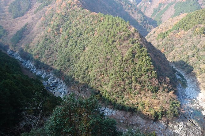 Iya Valley BROMPTON Slow Cycling Tour - What the guides add to the day