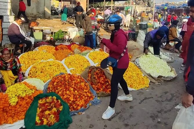 Jaipur Cultural Cycling Tour - Starting at Fateh Tibba and Adarsh Nagar