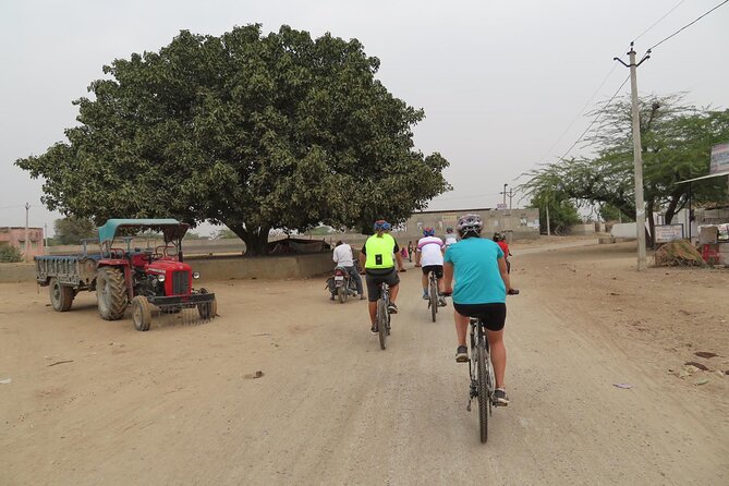 Jaipur Village Cycling Safari - Breakfast at the lakeside plateau