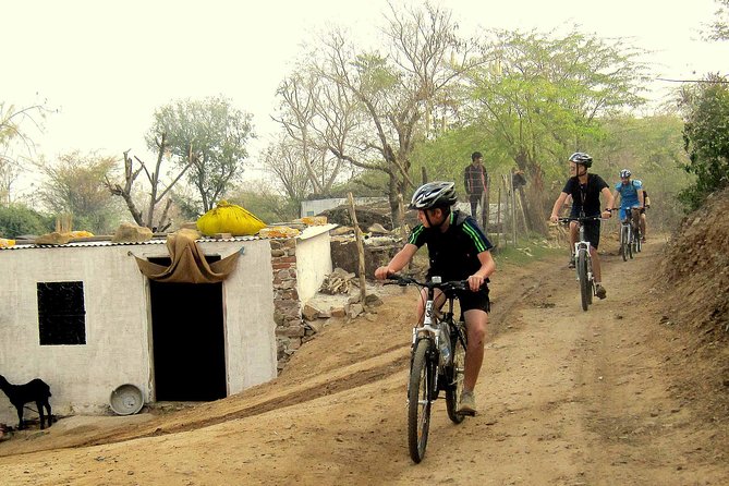 Jaipur Village Cycling Safari - Village roads and everyday Rajasthan