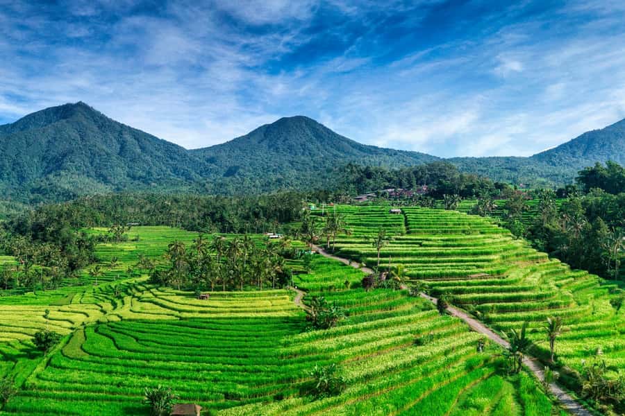 Jatiluwih (UNESCO Site) 2-Hour E-Bike Cycling Tour - What the Jatiluwih ride is really about