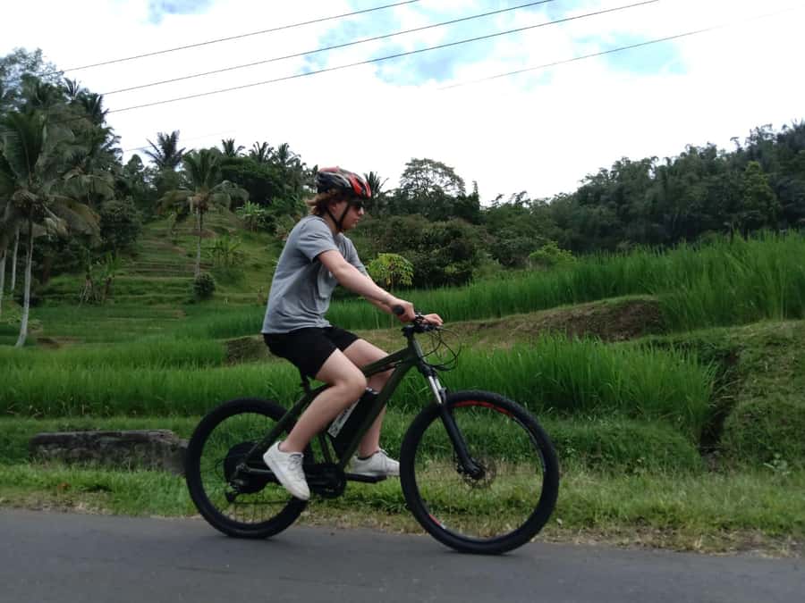 Jatiluwih (UNESCO Site) 2-Hour E-Bike Cycling Tour - From Batukaru’s jungle to the open terraces