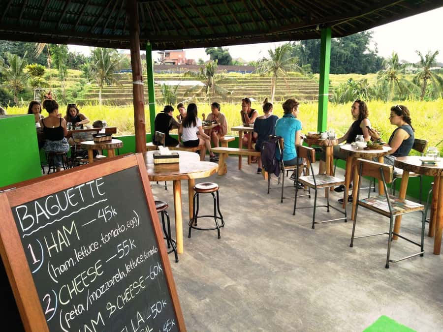 Jatiluwih (UNESCO Site) 2-Hour E-Bike Cycling Tour - The guide and the pace of the day