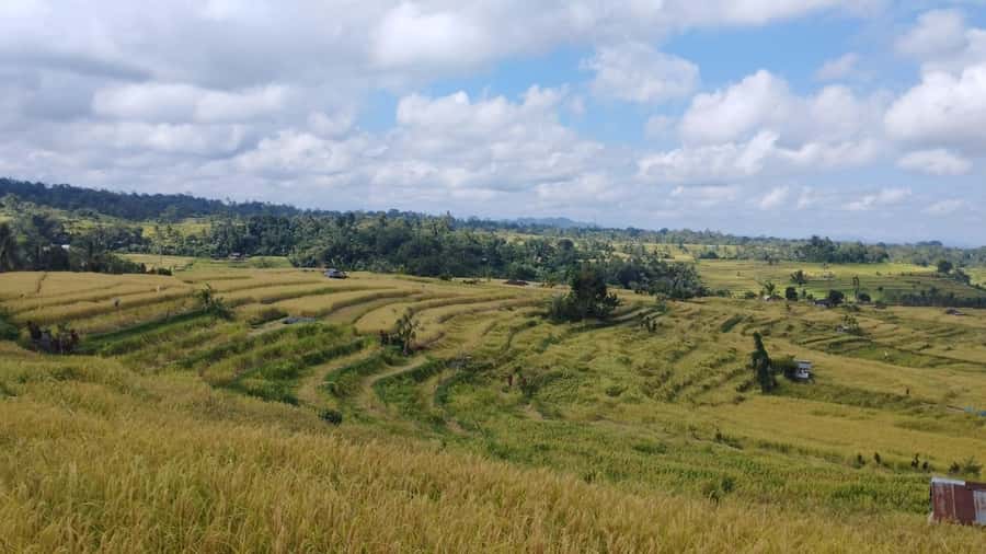 Jatiluwih (UNESCO Site) 2-Hour E-Bike Cycling Tour - Bike condition and safety deserve attention