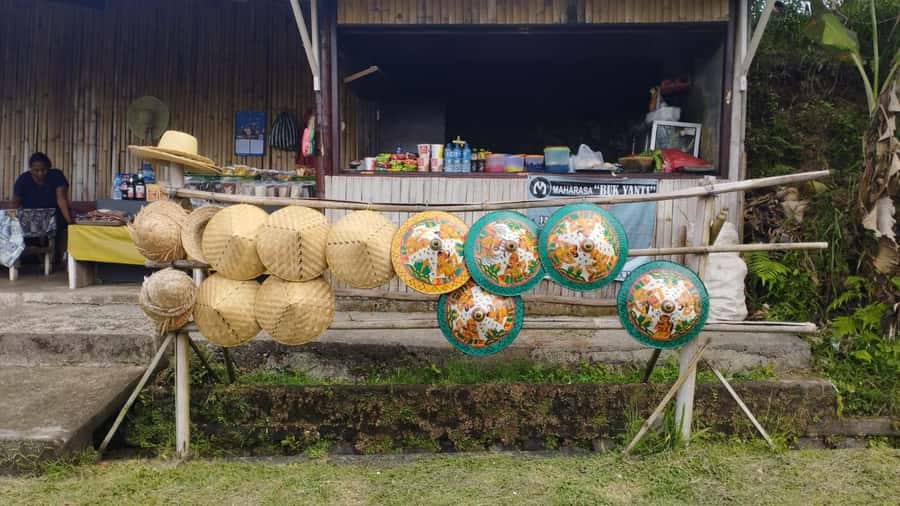Jatiluwih (UNESCO Site) 2-Hour E-Bike Cycling Tour - Price, pickup and overall value at $69