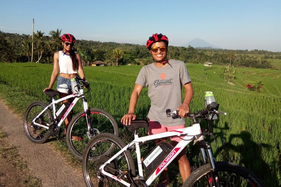 Jatiluwih (UNESCO Site) 2-Hour E-Bike Cycling Tour - Who will enjoy this tour most