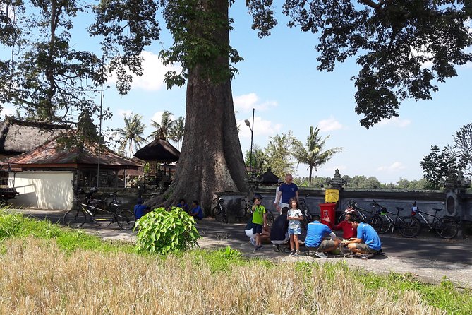 Kaba Kaba Reason for Harmony Cycling - Why this ride gives you a different Bali morning