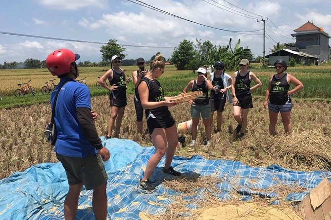 Kaba Kaba Reason for Harmony Cycling - The water temple among the rice fields