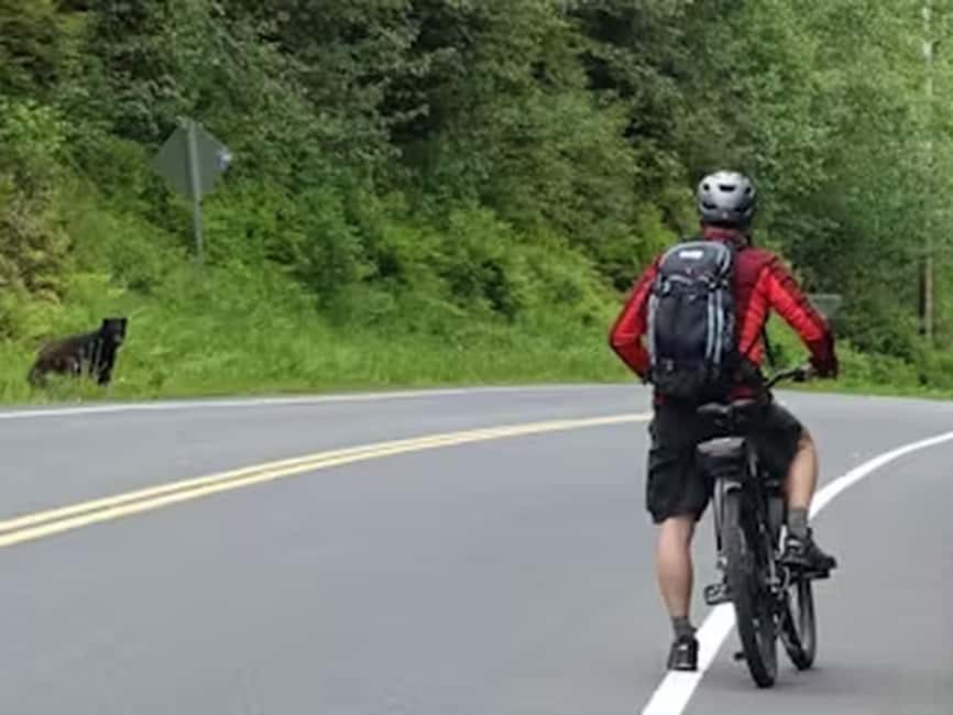 Ketchikan: E-Bike and Hike Tour - Meeting your ride at the cruise docks
