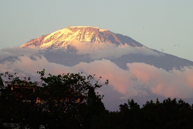 Kilimanjaro Shira Plateau E-Bike Day Trip - Kibo views and the wide Maasai country below