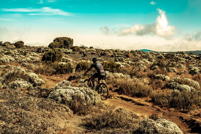 Kilimanjaro Shira Plateau E-Bike Day Trip - Lunch beside one of Africa’s great mountains