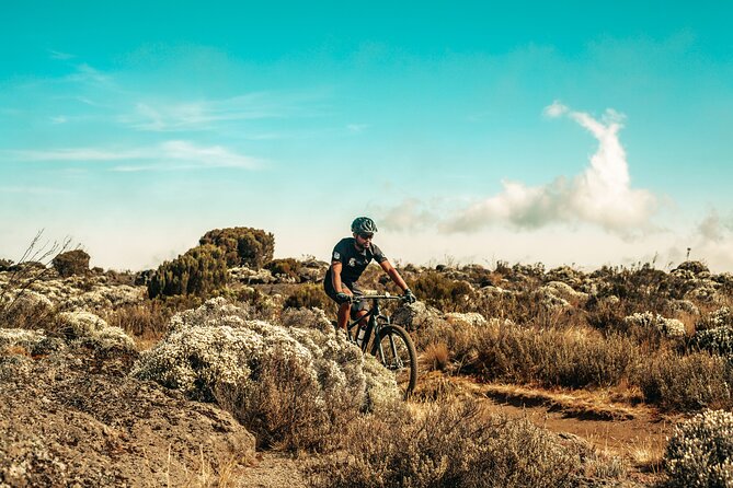 Kilimanjaro Shira Plateau E-Bike Day Trip - The role of Roger, Good Luck, and Hillary